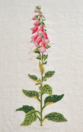 f-digitalis.jpg